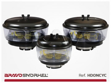 Donaldson cycloon big