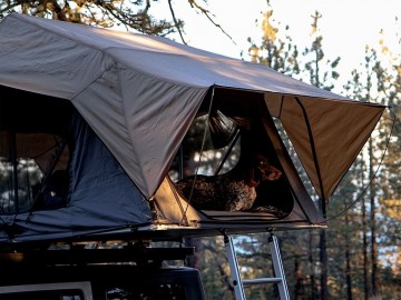 Tent031 42